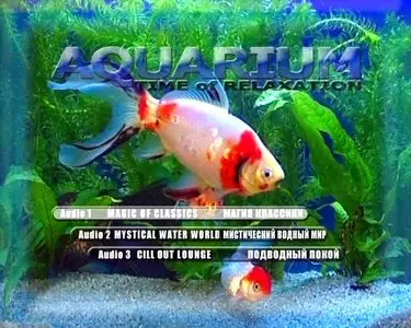 Time for Relaxation: Aquarium / Время релаксации: Аквариум (2003)