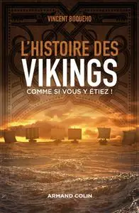 Vincent Boqueho, "L'histoire des Vikings comme si vous y étiez !"