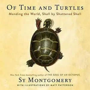 Of Time and Turtles: Mending the World, Shell by Shattered Shell [Audiobook]