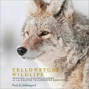 Yellowstone Wildlife: Ecology and Natural History of the Greater Yellowstone Ecosystem [Audiobook]