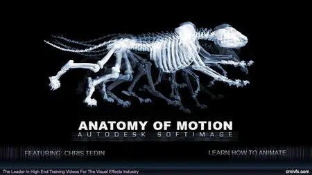 cmiVFX – Softimage Anatomy of Motion