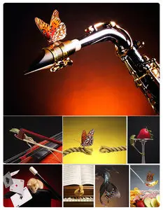 Animals  