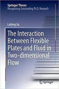 The Interaction Between Flexible Plates and Fluid in Two-dimensional Flow