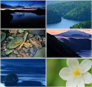 Premium Nature HD Wallpapers Pack 2