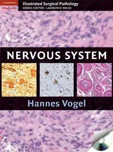 Nervous System [Repost]