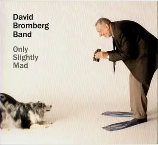 David Bromberg - Only Slightly Mad (2013) {AppleSeed}