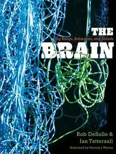 The Brain: Big Bangs, Behaviors, and Beliefs