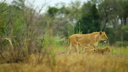 Wild Babies S01E04