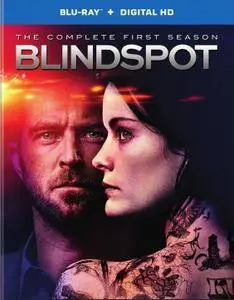 Blindspot: The Complete First Season (2015)