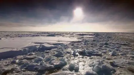 Smithsonian Earth - Arctic Secrets: Series 1 (2015)