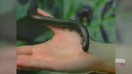 Bug Out S01E02