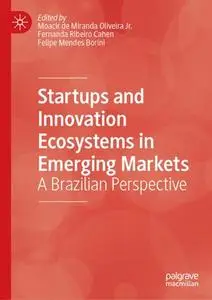 Startups and Innovation Ecosystems in Emerging Markets: A Brazilian Perspective (Repost)