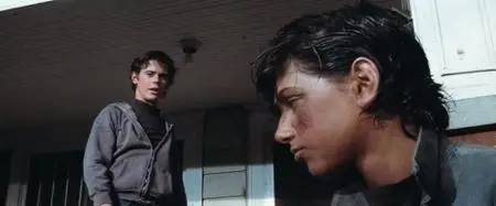 The Outsiders (1983)