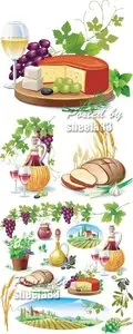 Various Food Vector