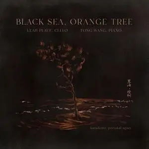 Leah Plave, Tong Wang - Black Sea, Orange Tree (2024) [Official Digital Download 24/96]