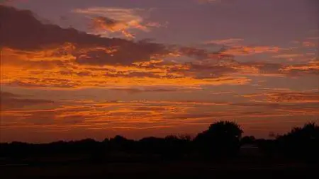 Street Outlaws S10E03