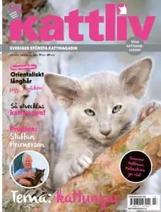 Kattliv – 13 april 2021