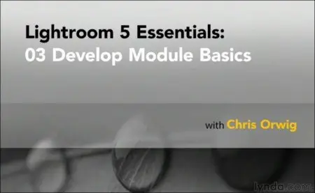 Lightroom 5 Essentials: 03 Develop Module Basics (2013) [repost]