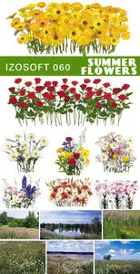 IZ060 - Summer flowers
