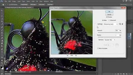 Photoshop CS6 One-on-One: Intermediate