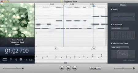 Capo 2.0.6