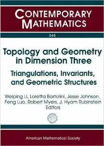 Topology and Geometry in Dimension Three (Repost)