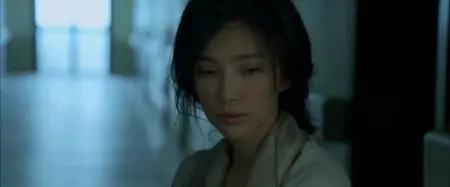 Il Ventaglio Segreto (2011)