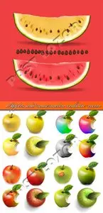 Apples and watermelon realistic vector