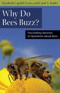 Why Do Bees Buzz?: Fascinating Answers to Questions about Bees