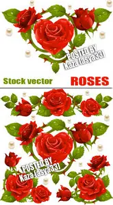 Rose vector
