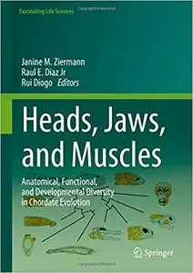 Heads, Jaws, and Muscles: Anatomical, Functional, and Developmental Diversity in Chordate Evolution