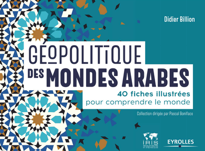 Géopolitique des mondes arabes: 40 fiches illustrées pour comprendre le monde