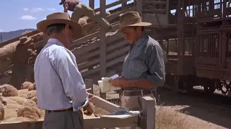 The Sundowners (1960)
