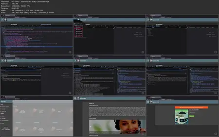 Web App Pen Testing: Vulnerability Discovery