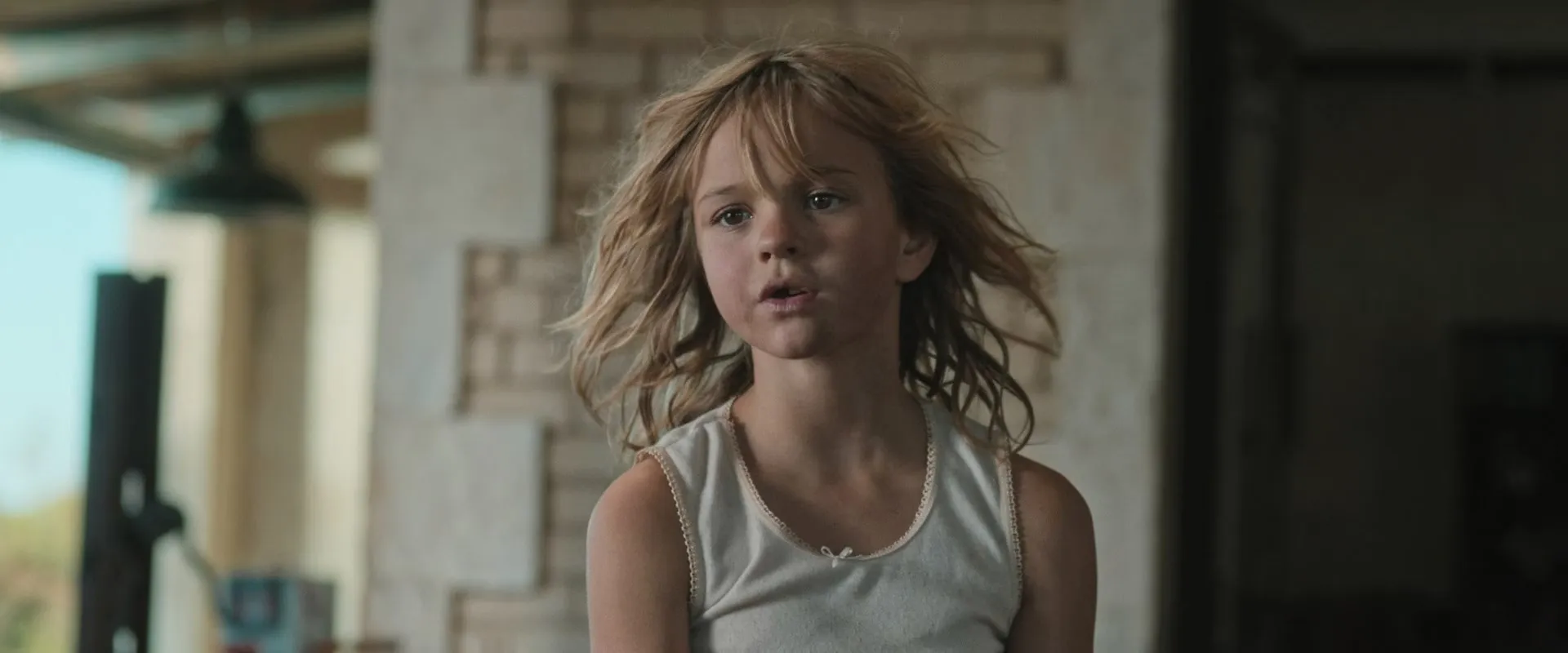 Don't Let's Go to the Dogs Tonight (2024)