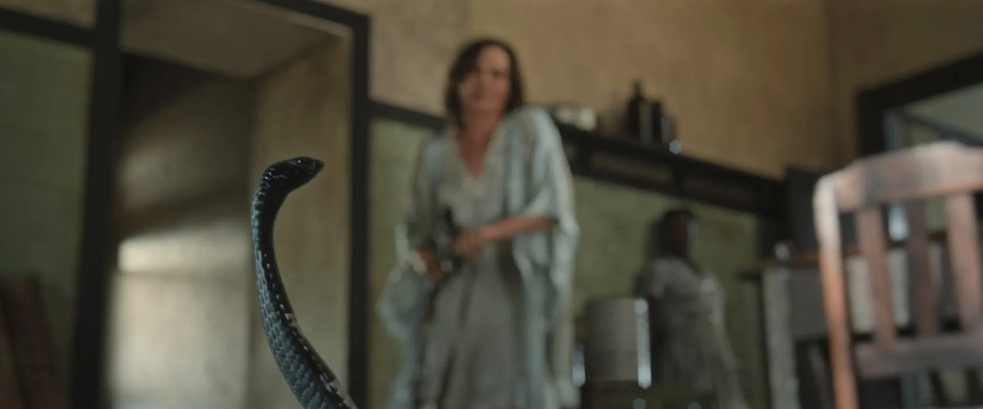 Don't Let's Go to the Dogs Tonight (2024)