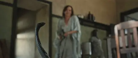 Don't Let's Go to the Dogs Tonight (2024)