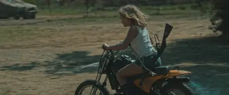 Don't Let's Go to the Dogs Tonight (2024)