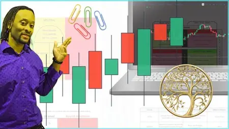 How To Trade Stock Options - Principles Option Trading 101