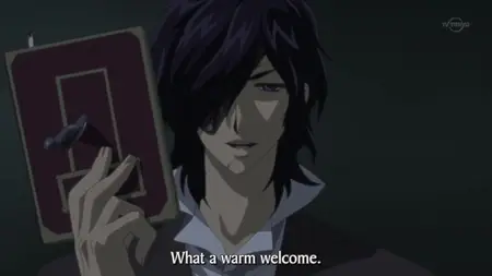 VKn = 06    Vampire Knight   06  mkv 002 yEnc