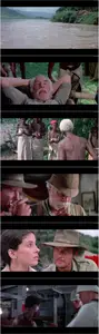 Shout at the Devil (1976)
