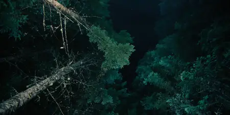UNTAMED S01E05
