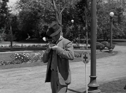 Harvey (1950)