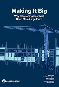 Making It Big: Why Developing Countries Need More Large Firms