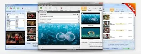 Sothink Video Converter Pro 3.5 Build 26918