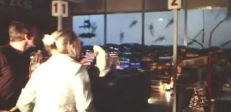 The Mist (2007) CAM