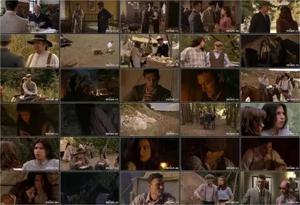 The Wild Girl (2010)