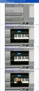Total Training - AXIOM 61 USB MIDI Controller