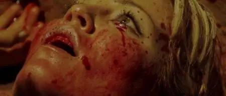 Повар / The Cook (2008) DVDRip