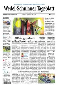 Wedel-Schulauer Tageblatt - 01. Juli 2019